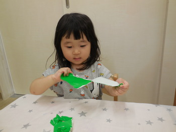 DSCN5681