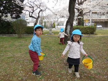 DSCN5281