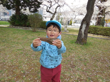 DSCN5278