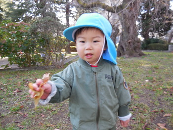 DSCN6628