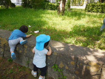 DSCN5479