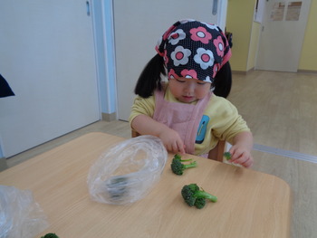 DSC01919