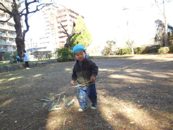 DSCN6625