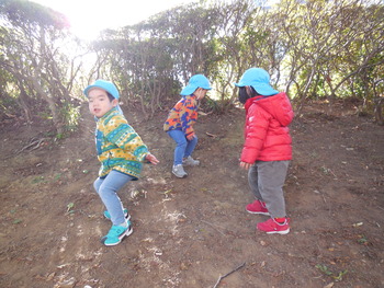 DSCN6617