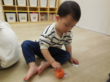 DSCN5381