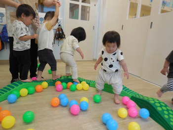 DSCN5648