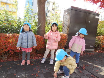 DSCN4229
