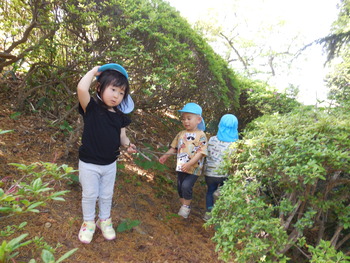 DSCN5454