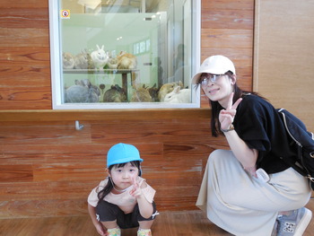 DSCN6048