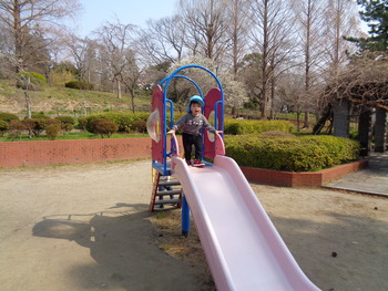 DSC02650