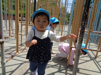 DSC03161