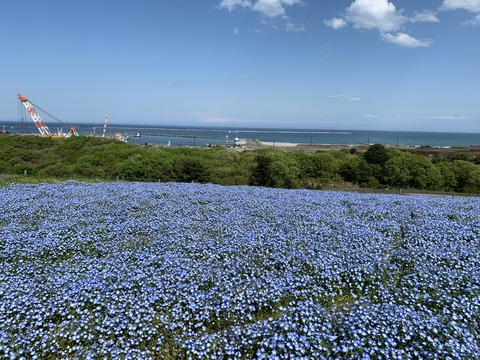 みはらしの丘-2 ちゅちゅポン