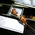 050129-020245.jpg