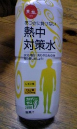 041212fd.jpg