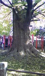 1b529fa1.jpg