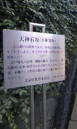 9ca3703e.jpg