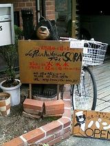 a53197f4.jpg