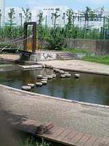 d6585be3.jpg