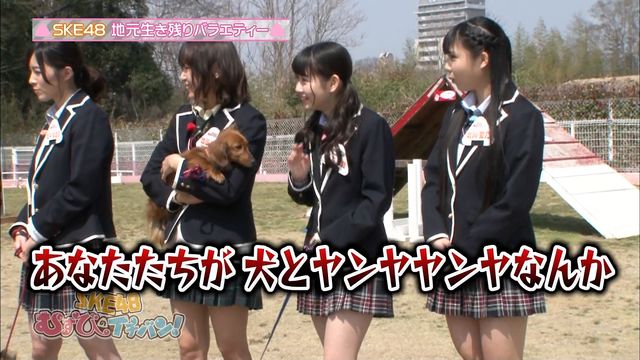 4 24放送 Ske48むすびのイチバン キャプまとめ珠理奈出演回 惣田 井上 北川愛 犬とのコラボ芸で珠理奈のテーブルクロス引き芸炸裂 ノブコブ徳井さんとのシュールな絡みあり じゅりまとめ Ske48松井珠理奈関連まとめサイト