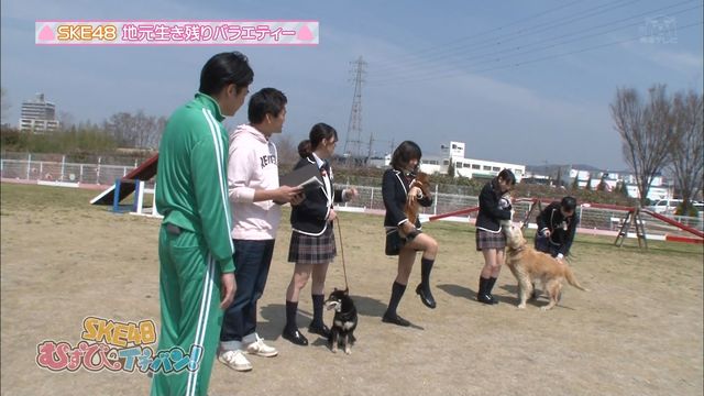 4 24放送 Ske48むすびのイチバン キャプまとめ珠理奈出演回 惣田 井上 北川愛 犬とのコラボ芸で珠理奈のテーブルクロス引き芸炸裂 ノブコブ徳井さんとのシュールな絡みあり じゅりまとめ Ske48松井珠理奈関連まとめサイト 4 24放送 Ske48むすびのイチバン キャプまとめ珠理奈出演回 惣田 井上 北川愛 犬とのコラボ芸で珠理奈のテーブルクロス引き芸炸裂 ノブコブ徳井さんとのシュールな絡みあり じゅりまとめ Ske48松井珠理奈関連まとめサイト