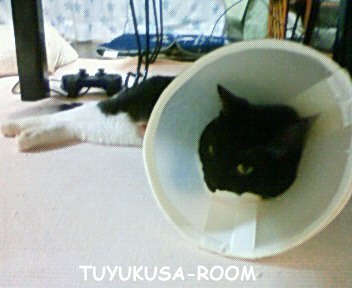 ������å�