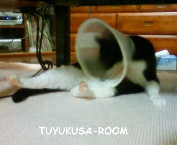 ���ˤʤ�á�