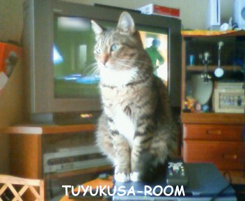 ���򤯤ʤ�����Ϻ