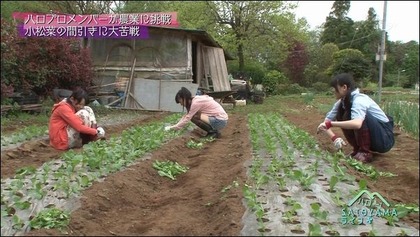 20120721¤µ¤È¤ä¤Þ