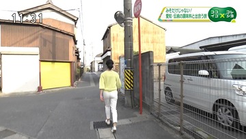 r19