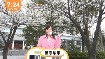 t8