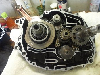 TS3S2206
