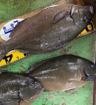 IMG_4535 - コピー