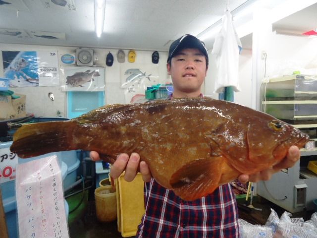 5 5 アコウ 49 1cm 2 16kg 森田悠斗様 二神島沖にて 釣具のフレンド 釣り力up 最新情報 5 5 アコウ 49 1cm 2 16kg 森田悠斗様 二神島沖にて 釣具のフレンド 釣り力up 最新情報