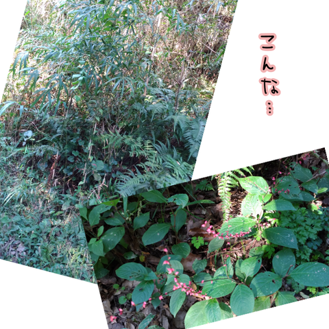 2019.10.28-2