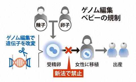 ゲノム編集胚規制法が成立
