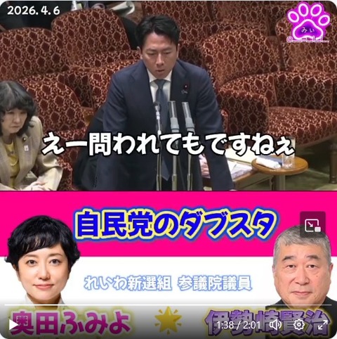自民党のダブスタ