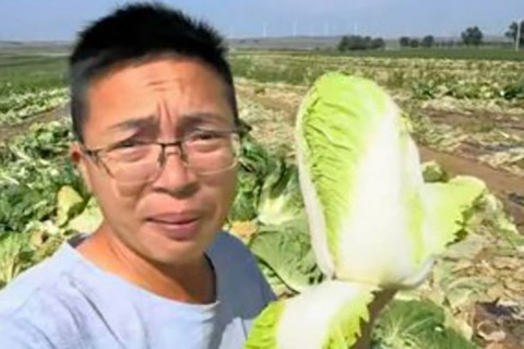 野菜の多くに「中国産」を使用する「CoCo壱番屋」