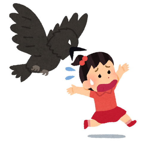 退治して食用に 牛を襲うカラスに酪農家悲鳴 行政も助けてくれない ついっちゃが