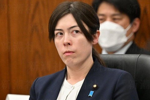 小野田紀美