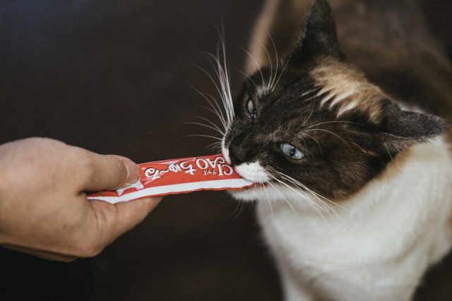 明らかな営業妨害か ちゅ るの塩分濃度が高くて猫が腎不全に ついっちゃが 明らかな営業妨害か ちゅ るの塩分濃度が高くて猫が腎不全に ついっちゃが