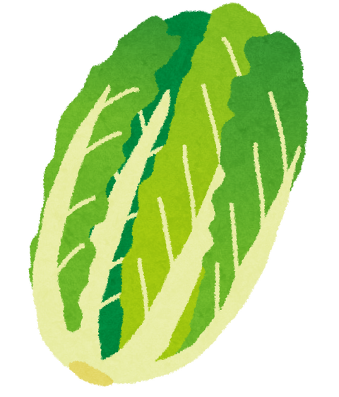 白菜