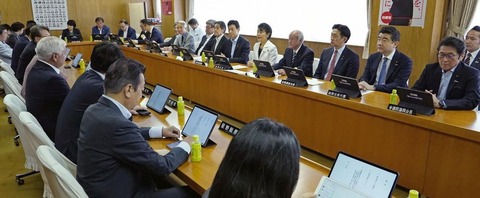 国旗損壊罪法案 SNS投稿は対象外