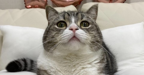 0087c20e05aa3881e91e7a4ce552a6c1-1024x536