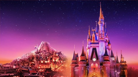 img_2d6d32bf5c865542eaabb0ad60f73a2e134659