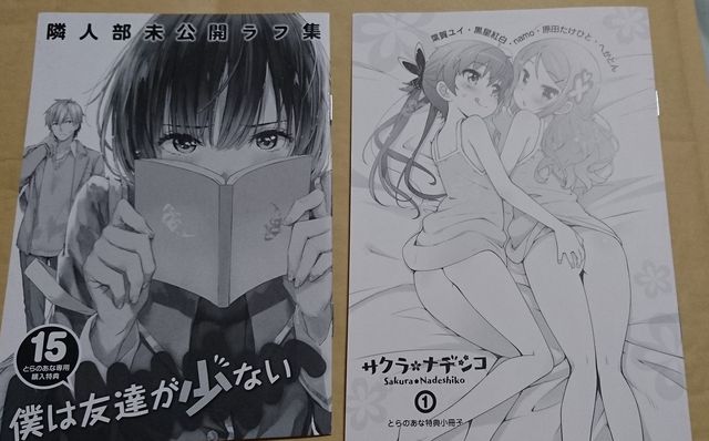 3回目 じゃんく ジャンル色々ムック 原画集箱に詰めるだけセット 18禁美少女ゲーム等 980円 ゲーム福袋の軌跡 仮