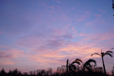 DSC00095