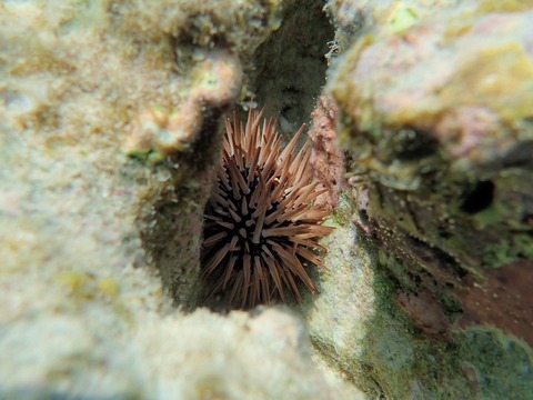 P8120417