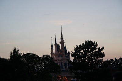 DSC00363 - コピー