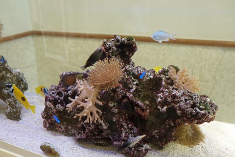 DSC00029