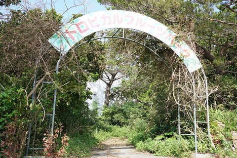 DSC00200